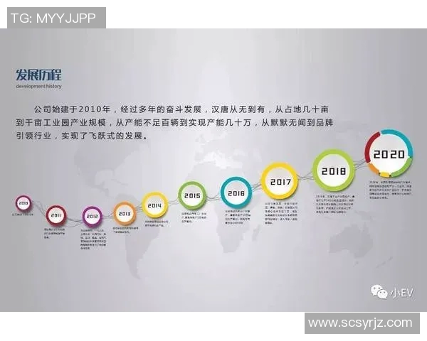 成都排球队的崛起之路欧锦赛背后的奋斗与荣耀