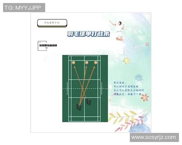 深圳羽毛球队的战术创新与转换体系解析 深圳羽毛球队的战术创新与转换体系解析