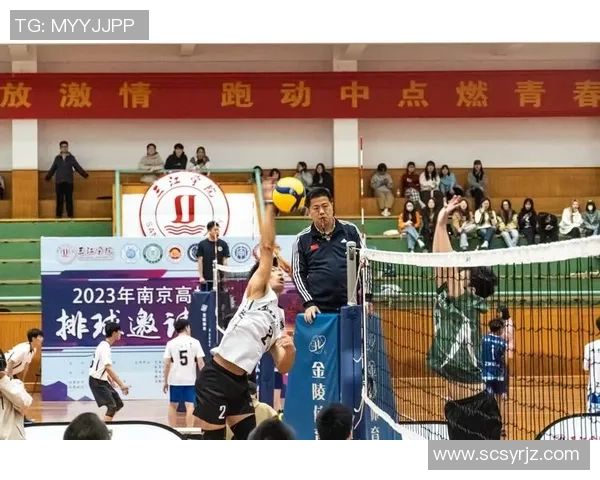 西安排球队在总决赛中的团队协作表现分析与点评