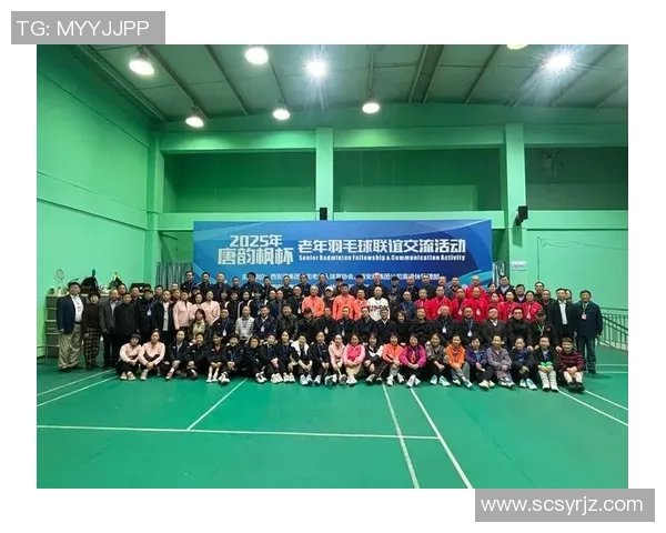 西安羽毛球队进攻策略分析与成绩反思探讨