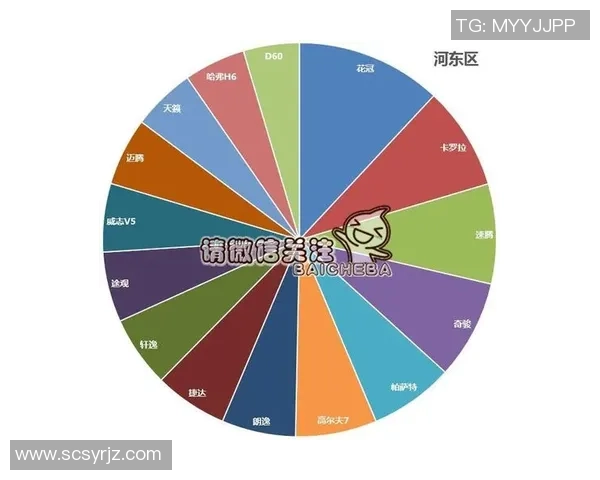 独家分析：深圳攀岩队的比赛经验对比