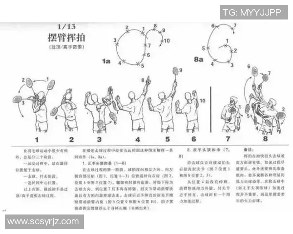 从零开始：羽毛球团队协作完全攻略