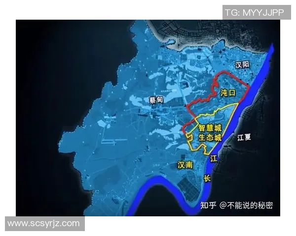 重磅专题:武汉乒乓球队的整体压制革新 重磅专题:武汉乒乓球队的整体压制革新